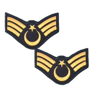 KARA KUVVETLERİ Harici kıdemli çavuş rütbesi